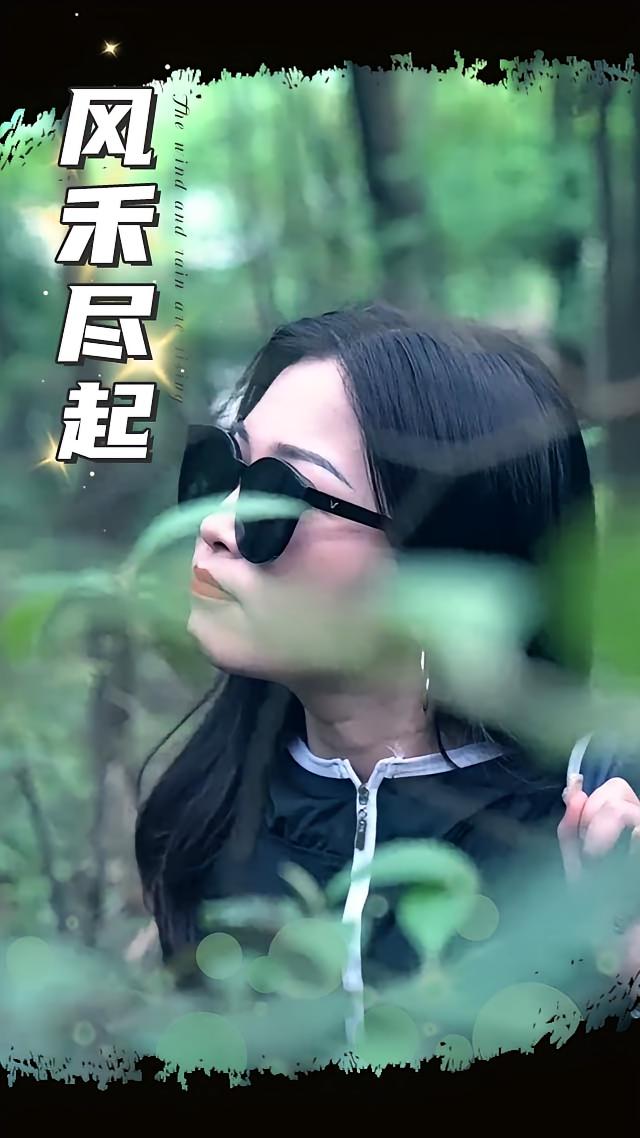 风禾尽起（31集）-免费短剧