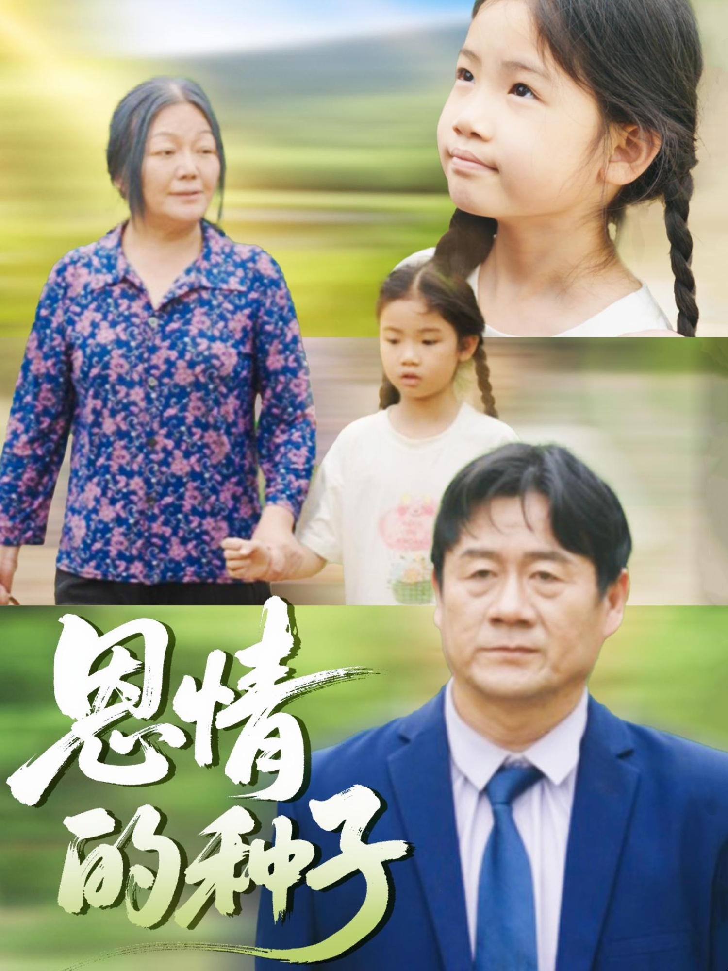 恩情的种子(29集)-免费短剧