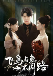 飞鸟与鱼不同路（60集）祝静怡&曲曦晨-免费短剧
