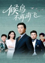 候鸟不再南飞（80集）苗峯&王真真-免费短剧