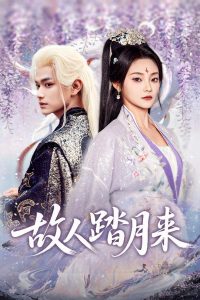 故人踏月来（60集）张渊元&塔瓦娜-免费短剧