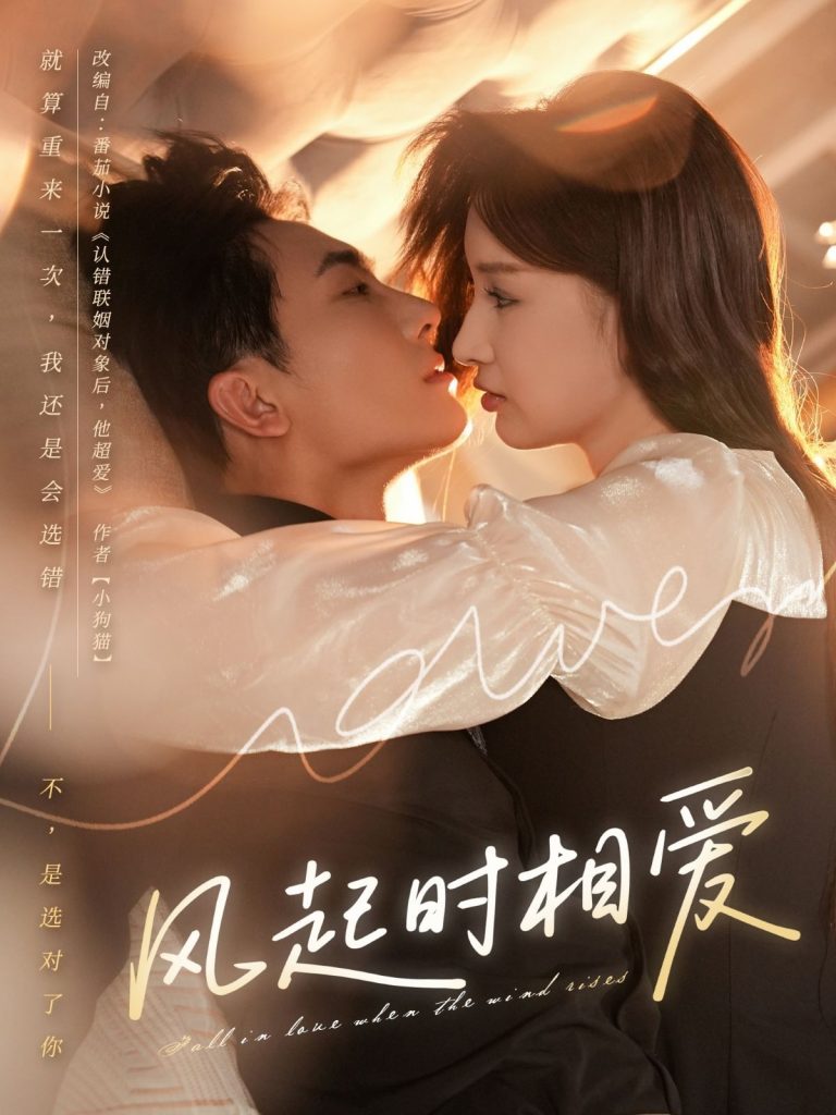 风起时相爱（80集）陈艺洁&刘珈睿-免费短剧