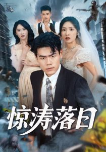 惊涛落日(60集)王海洋&张星禾-免费短剧