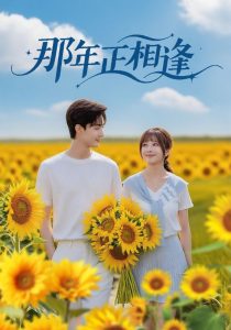 那年正相逢(60集)沈国洋&鹿蓝予-免费短剧