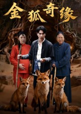 金狐奇缘(42集)李图图&张旭-免费短剧