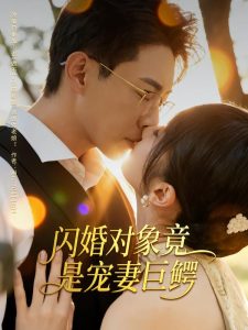 闪婚对象竟是宠妻巨鳄（74集）陶思源&周昭昭-免费短剧