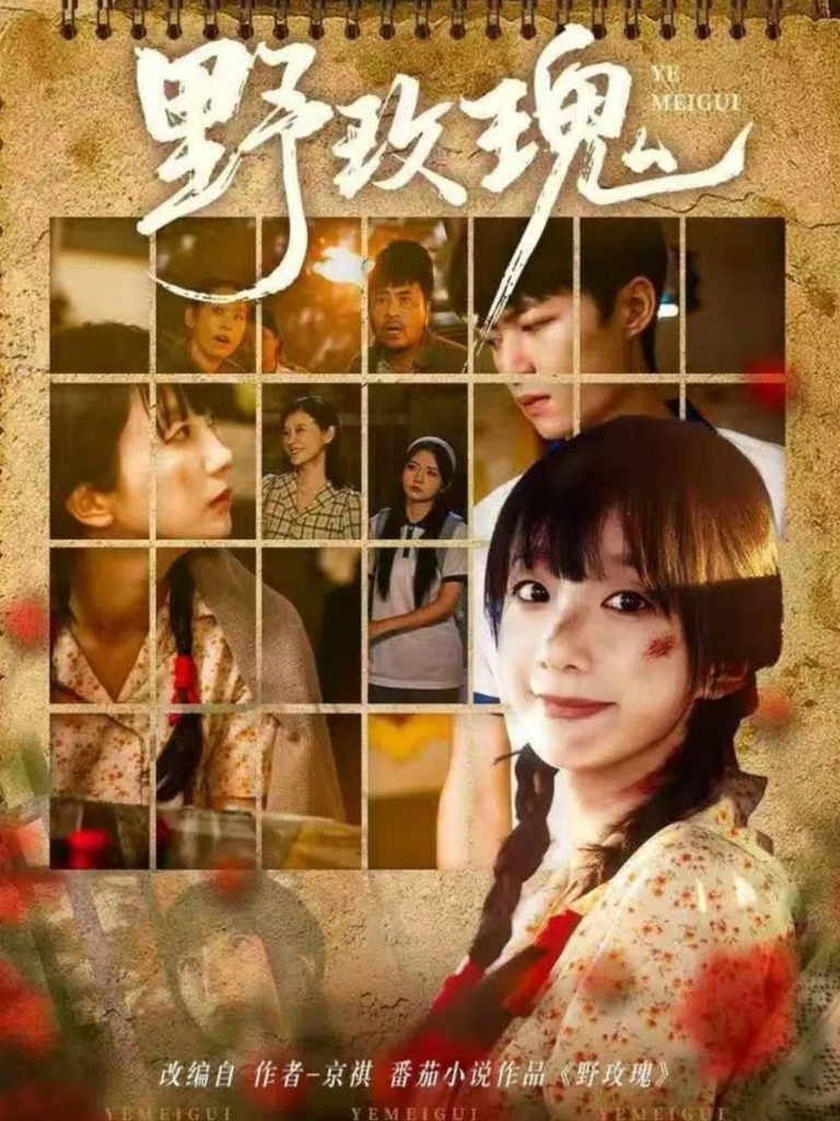 野玫瑰（82集）钊瑞＆象韵洁-免费短剧