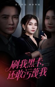 刷我黑卡还敢污蔑我（55集）张晓楠&李永鑫-免费短剧