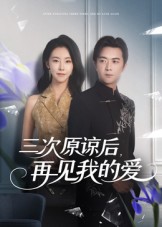 三次原谅后再见我的爱(80集)袁宁-免费短剧