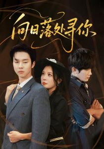 向日落处寻你（70集）李明&邓嘉伦-免费短剧