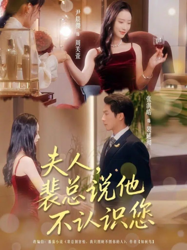 夫人裴总说他不认识您（75集）张淇皓&尹晨攒-免费短剧