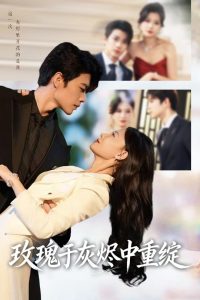 玫瑰于灰烬中重绽 (65集) 刘宸羽&毕雪-免费短剧