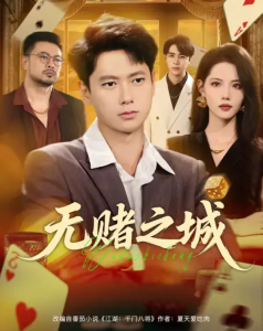 无赌之城（80集）张子安&董洁-免费短剧
