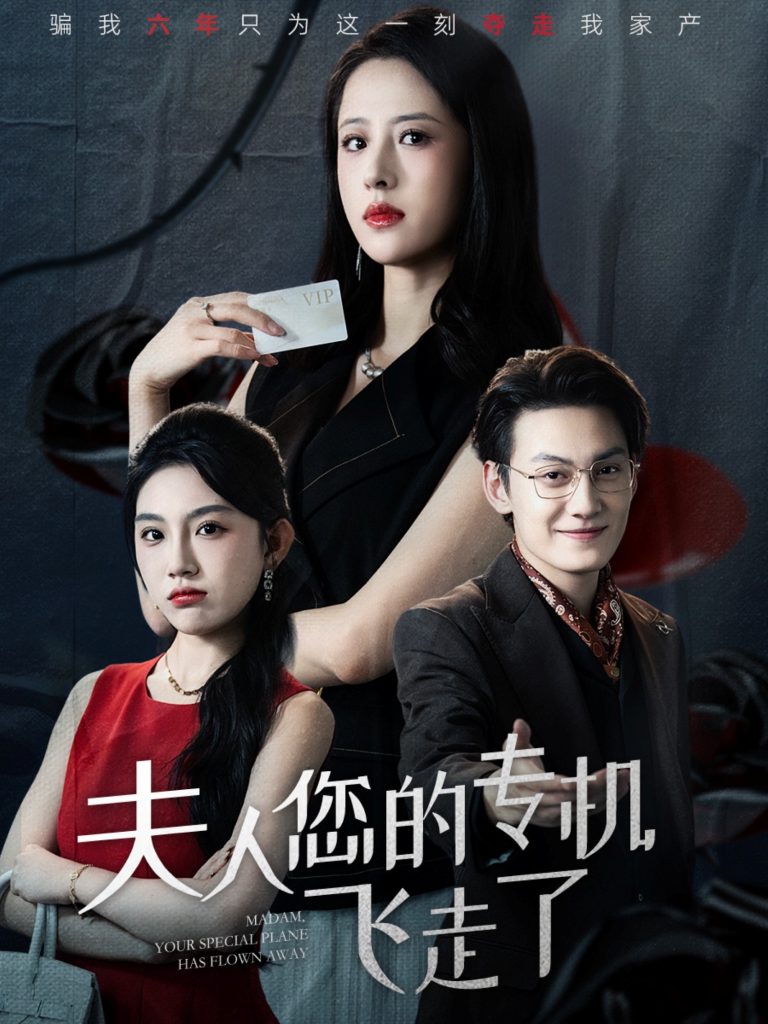 夫人您的专机飞走了（62集）王婧琦&陈泓龙-免费短剧