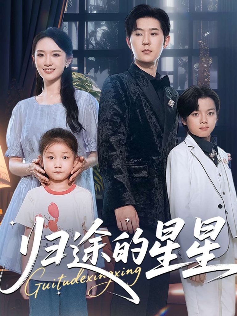 归途的星星（100集）李河源&任娄怡-免费短剧