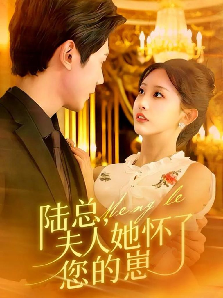 陆总，夫人她怀了您的崽（89集）何连飞＆李艾笑-免费短剧