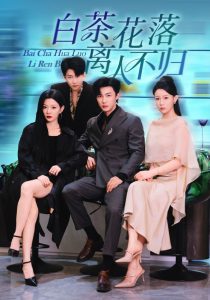 白茶花落离人（51集）沈国洋&林初-免费短剧