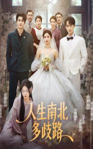 人生南北多歧路（45集）谭心＆辛灏云-免费短剧