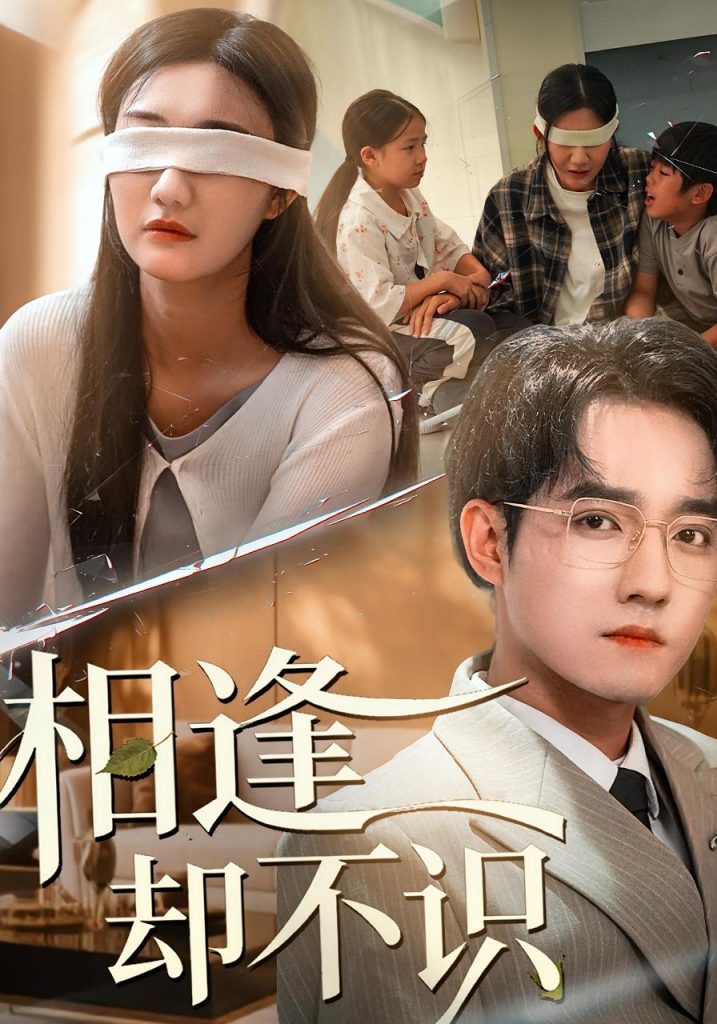 相逢却不识（77集）刘静阳&程汁-免费短剧