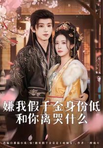 嫌我假千金身份低，和你离哭什么（120集）宋益凡＆王思瑾-免费短剧
