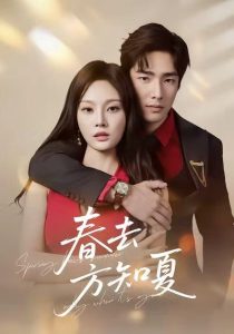 春去方知夏（65集）张啸昂＆林非梵-免费短剧