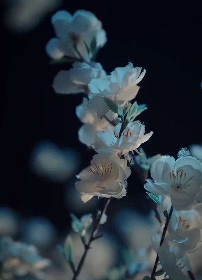 慈母重生她专治不服（53集）程硕＆邬倩-免费短剧