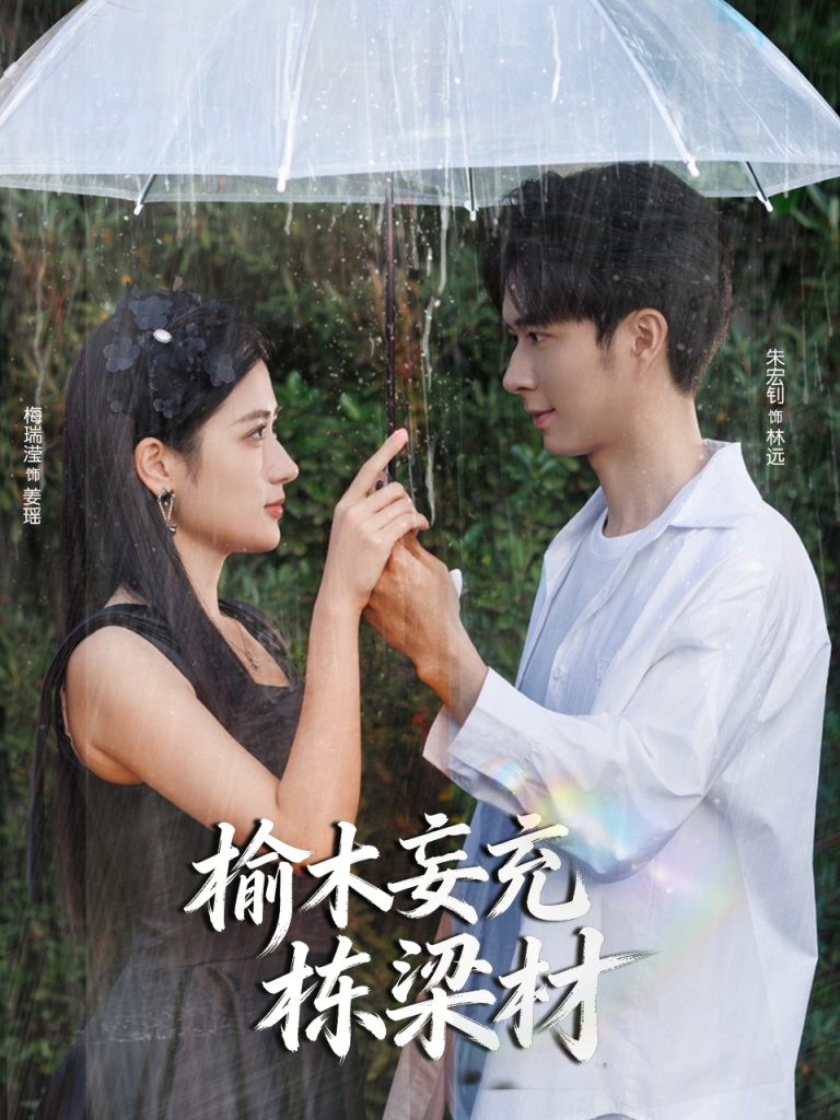 榆木妄充栋梁材（88集）朱宏钊＆梅瑞滢-免费短剧