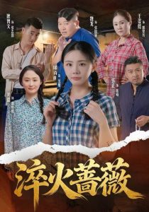 淬火蔷薇（50集）邱诗越&张正&魏龙-免费短剧