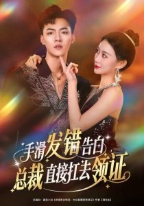 手滑发错告白,总裁直接扛去领证(80集)王三北&盛佳琦-免费短剧