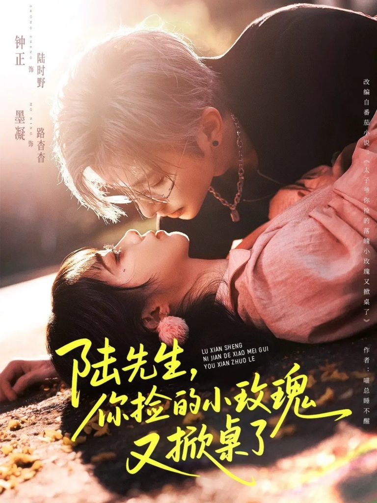 陆先生，你捡的小玫瑰又掀桌了（74集）钟正＆墨凝-免费短剧