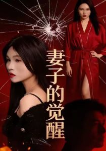 妻子的觉醒（34集）李乐川＆陈佳琦-免费短剧