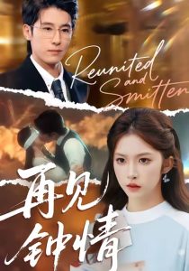 再见钟情（100集）林枫松＆吴毅非-免费短剧