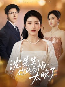 沈先生,你的后悔太晚了(40集)肖琳&翟中星&王慧珠-免费短剧