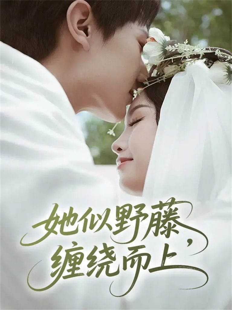 她似野藤,缠绕而上(51集)万烽&李文茹-免费短剧