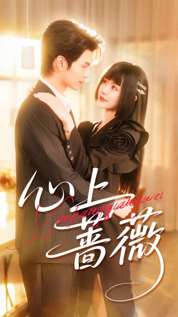 心上蔷薇（100集）张嘉松＆刘安歌-免费短剧