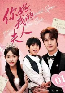 顾总，我才是你的夫人&你好，我的夫人（65集）周宇航&万家乐-免费短剧