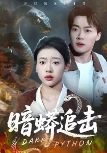 暗蟒追击（35集）王盈心＆赵文硕-免费短剧