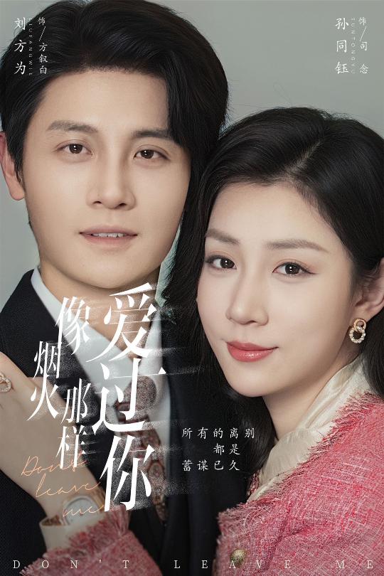 像烟火那样爱过你（62集）刘方为&孙同钰-免费短剧