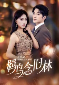 羁鸟念旧林（60集）张宇轩＆江炘-免费短剧