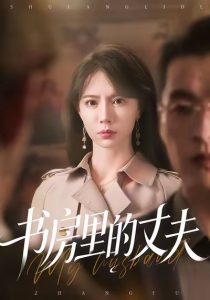 书房里的丈夫（100集）辛宛柔＆赵焕城-免费短剧