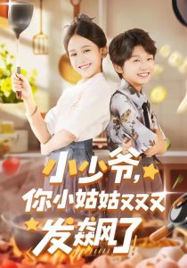 小少爷，你小姑姑又又又发飙了（99集）-免费短剧