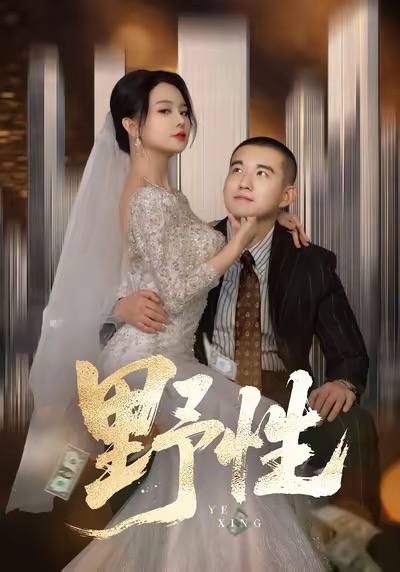 野性&分手后,顶头上司要嫁我(70集)阎论&梦露-免费短剧