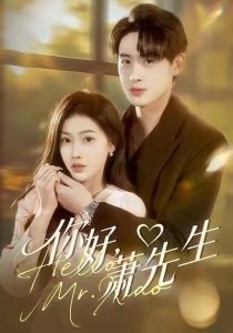 你好，萧先生（98集）乔婉宁＆李小风-免费短剧