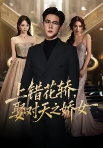 上错花轿，娶对天之娇女（66集）龙泽鸣＆董炜-免费短剧