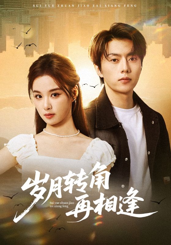 岁月转角再相逢（80集）张磊&王宇婧-免费短剧