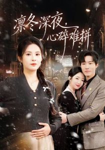 凛冬深夜，心碎难拼（64集）陈辰&陈酉昔-免费短剧