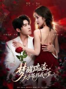 梦醒踹渣，太子爷拐我回家（80集）黄云云&杨宇斌-免费短剧