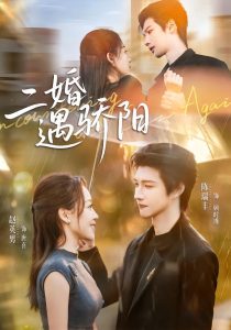 二婚遇骄阳（50集）陈瑞丰＆赵英男-免费短剧