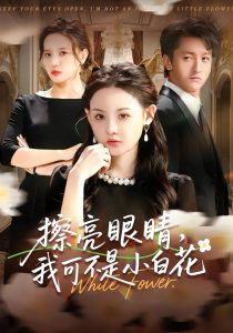 擦亮眼睛,我可不是小白花(60集)刘安歌&李泽源-免费短剧