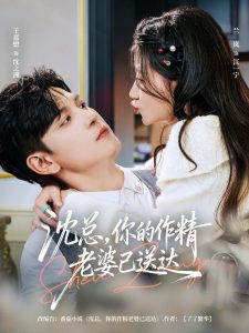 沈总，你的作精老婆已送达（94集）王嘉懋＆兰岚-免费短剧